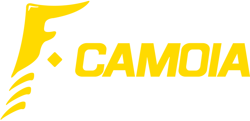 NEUMATICOS CAMOIA